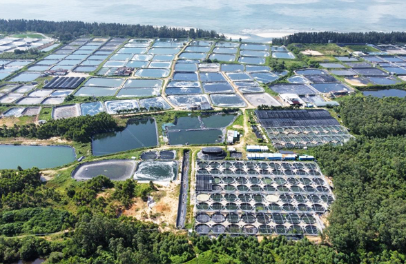 我司中標陽江市陽西縣海水養(yǎng)殖尾水治理示范項目的設(shè)計服務(wù)